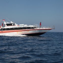 1. D'Camel Fast boat Lembongan