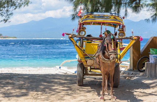 Non motorized vehicle Gili Islands